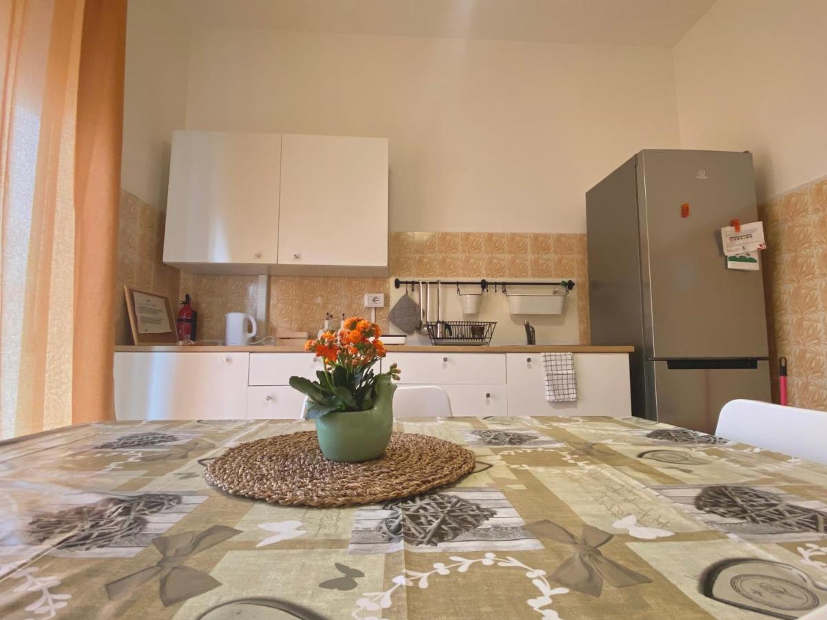 Guest House Service - Express Airport Apartment مودونيو المظهر الخارجي الصورة
